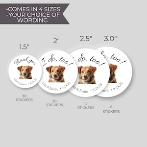 Pet Personalization For Wedding, Custom Picture Dog Treat Favors, Doggie Goodie Bag, Thank You for Celebrating, Labels for Bridal Shower