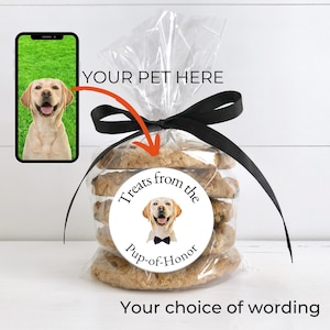 Custom Dog Wedding Sticker, Personalized Pet Wedding Favor Label, Treat Bag Seal, Photo Sticker for Dog Owner, Funny Thank you Tags