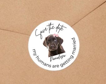 Pet Save The Date, Personalized Dog Wedding, Custom Pet Photo Favor, Wedding Favor For Guests, Dog Treat Bag, Thank You Label Sticker