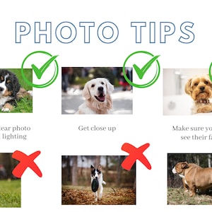 May include: A guide with photo tips for taking pictures of dogs. The tips include choosing a clear photo with good lighting, getting close up, and making sure you can see the dog's face. The guide shows examples of good and bad photos.