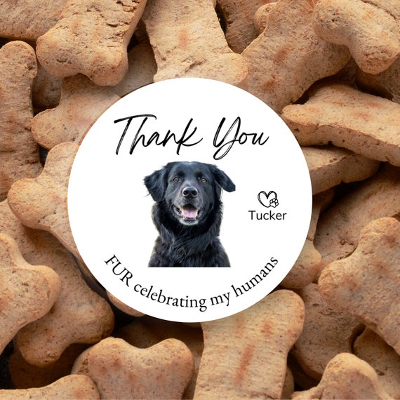 Wedding Stickers, Dog Wedding, Pet Photo Gift, Thank You Sticker, Custom Wedding Favor Label, Dog Treat Bag, Personalized Gift For Dog Owner