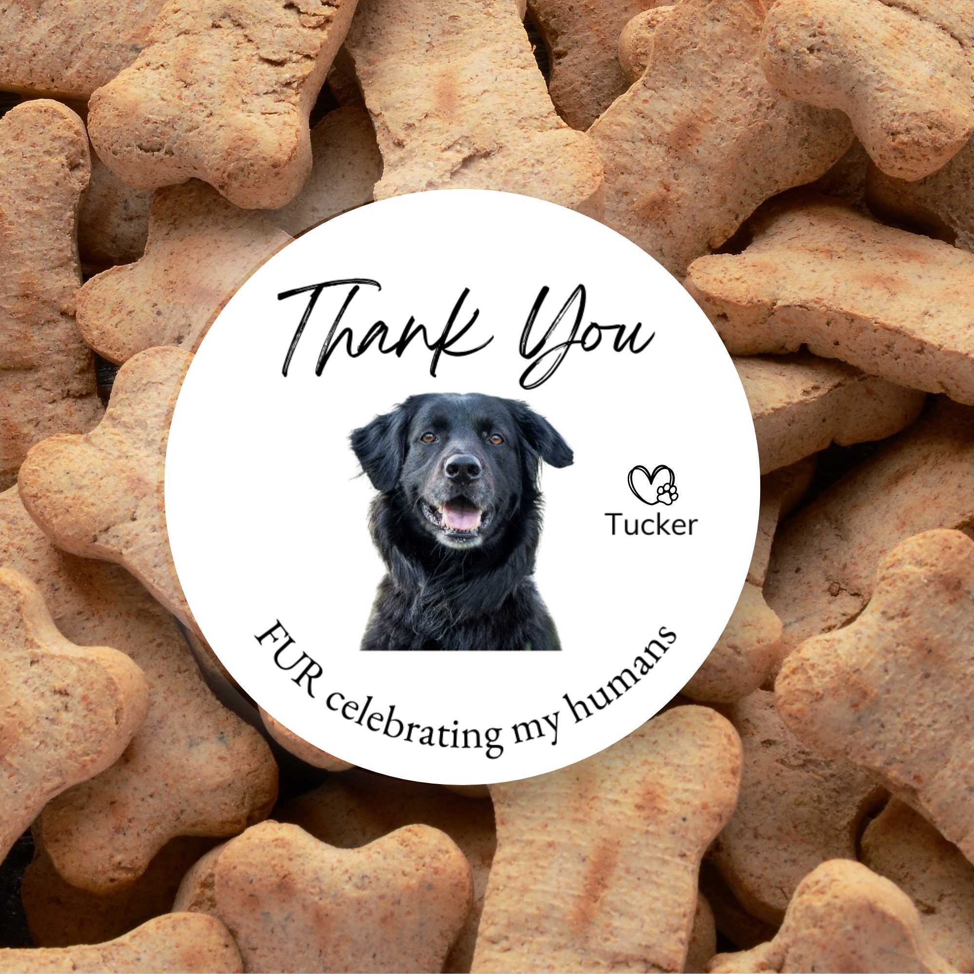 Wedding Stickers, Dog Wedding, Pet Photo Gift, Thank You Sticker, Custom Wedding Favor Label, Dog Treat Bag, Personalized Gift For Dog Owner