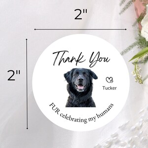 Wedding Stickers, Dog Wedding, Pet Photo Gift, Thank You Sticker, Custom Wedding Favor Label, Dog Treat Bag, Personalized Gift For Dog Owner