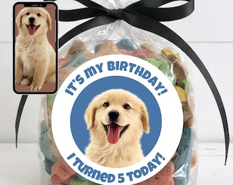 Personalized Dog Photo Stickers, Custom Pet Birthday Favors, Puppy Face Stickers for Treat Bags, Dog Birthday Decor, Kitten Cat Party Labels