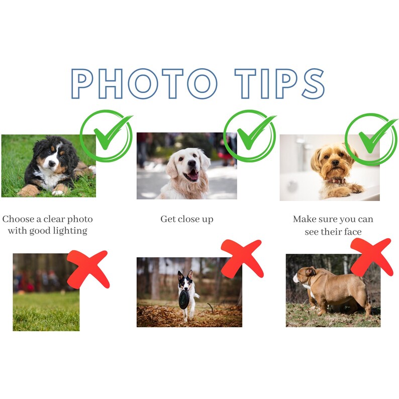 K&ouml;nnte beinhalten: Eine Fotocollage mit Tipps f&uuml;r gute Fotos von Hunden. Die obere Reihe zeigt drei Beispiele f&uuml;r gute Fotos mit gr&uuml;nen H&auml;kchen. Die untere Reihe zeigt drei Beispiele f&uuml;r schlechte Fotos mit roten Kreuzen. Der Text in der Collage lautet "PHOTO TIPS", "W&auml;hlen Sie ein klares Foto mit guter Beleuchtung", "Machen Sie eine Nahaufnahme", "Stellen Sie sicher, dass Sie ihr Gesicht sehen k&ouml;nnen".