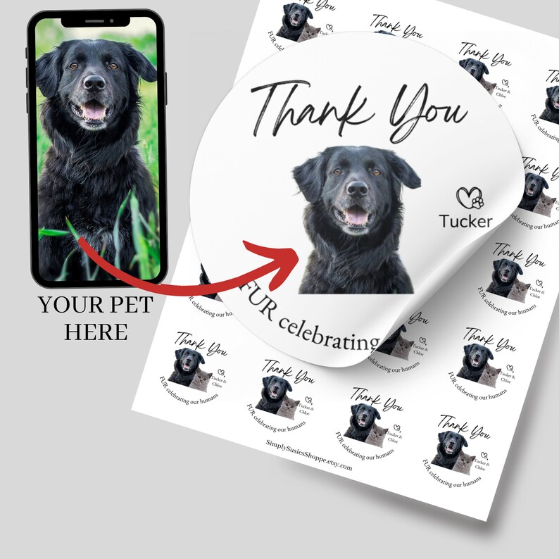 Wedding Stickers, Dog Wedding, Pet Photo Gift, Thank You Sticker, Custom Wedding Favor Label, Dog Treat Bag, Personalized Gift For Dog Owner