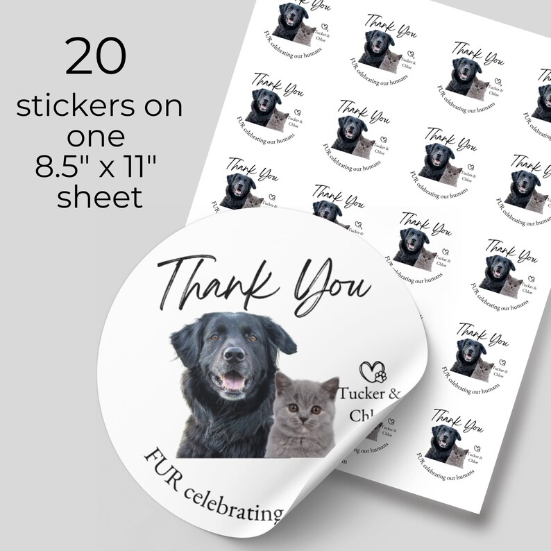 Wedding Stickers, Dog Wedding, Pet Photo Gift, Thank You Sticker, Custom Wedding Favor Label, Dog Treat Bag, Personalized Gift For Dog Owner