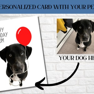 Birthday Card, Photo of Pet, Personalized Birthday Gift, Dog Birthday, Pet Birthday, Custom Card For Her, Happy Birthday Card For Dog Lover