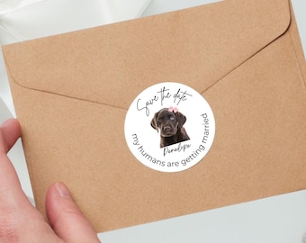 Pet Save The Date, Personalized Dog Wedding, Custom Pet Photo Favor, Wedding Favor For Guests, Dog Treat Bag, Thank You Label Sticker