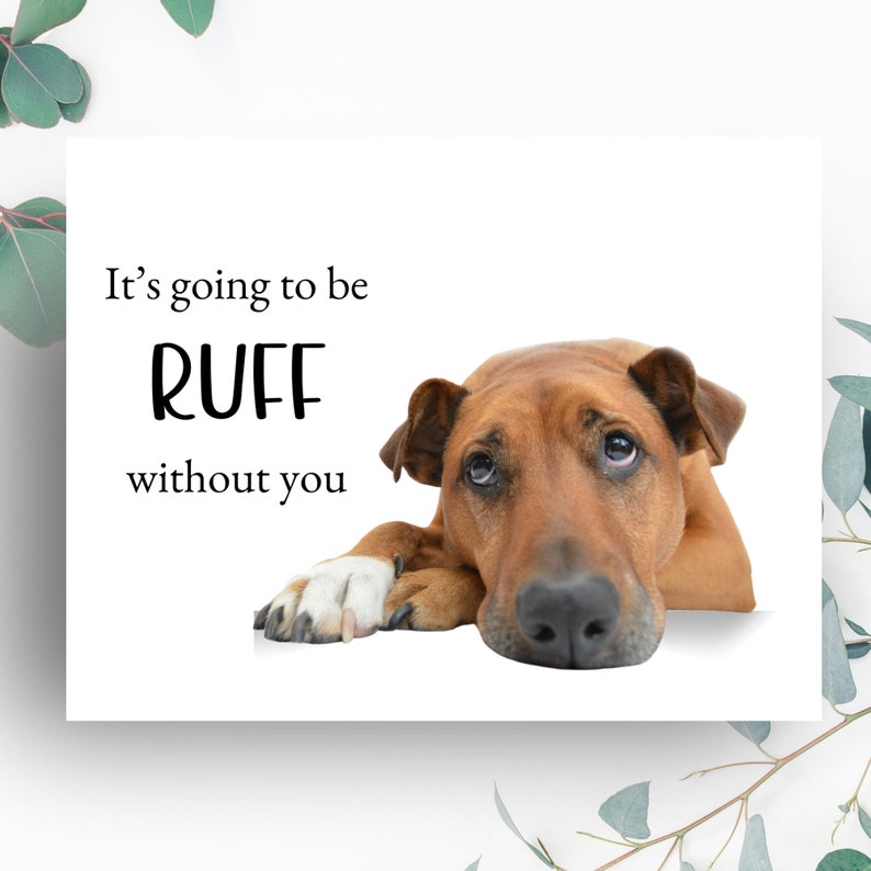 Without Ruff Retirement Card for Co-worker, Funny Goodbye Card, New Job Card, Punny ...