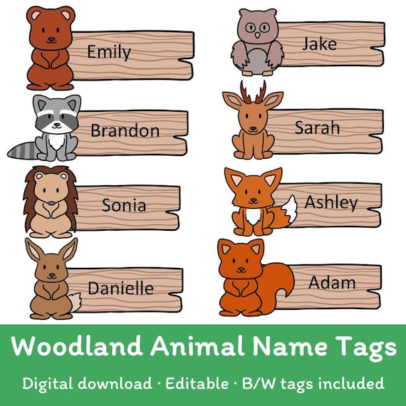 30 Name Tags For Classroom Cubbies 3x9 In Woodland Animals Name - View #2
