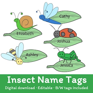 Editable Insect Name Tags: Printable Classroom Decor (Digital Download, PDF & PPTX Files)