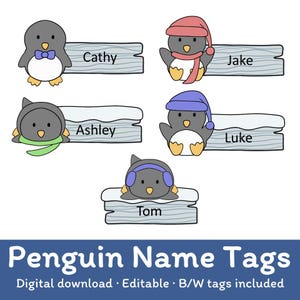 Bearbeitbare Pinguin Namensschilder: Klassenzimmer Etiketten (PowerPoint & PDF)