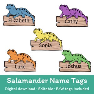 Puede incluir: Ilustración digital de cinco salamandras de colores, cada una sobre una etiqueta de madera. Las salamandras son azules, moradas, amarillas, naranjas y verdes, con manchas negras. Cada etiqueta tiene un nombre: Elizabeth, Cathy, Sonia, Luke y Joshua.