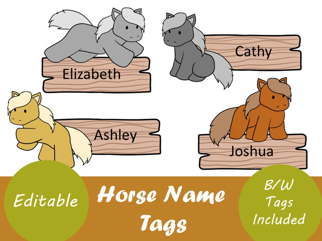 Editable Horse Name Tags Etsy