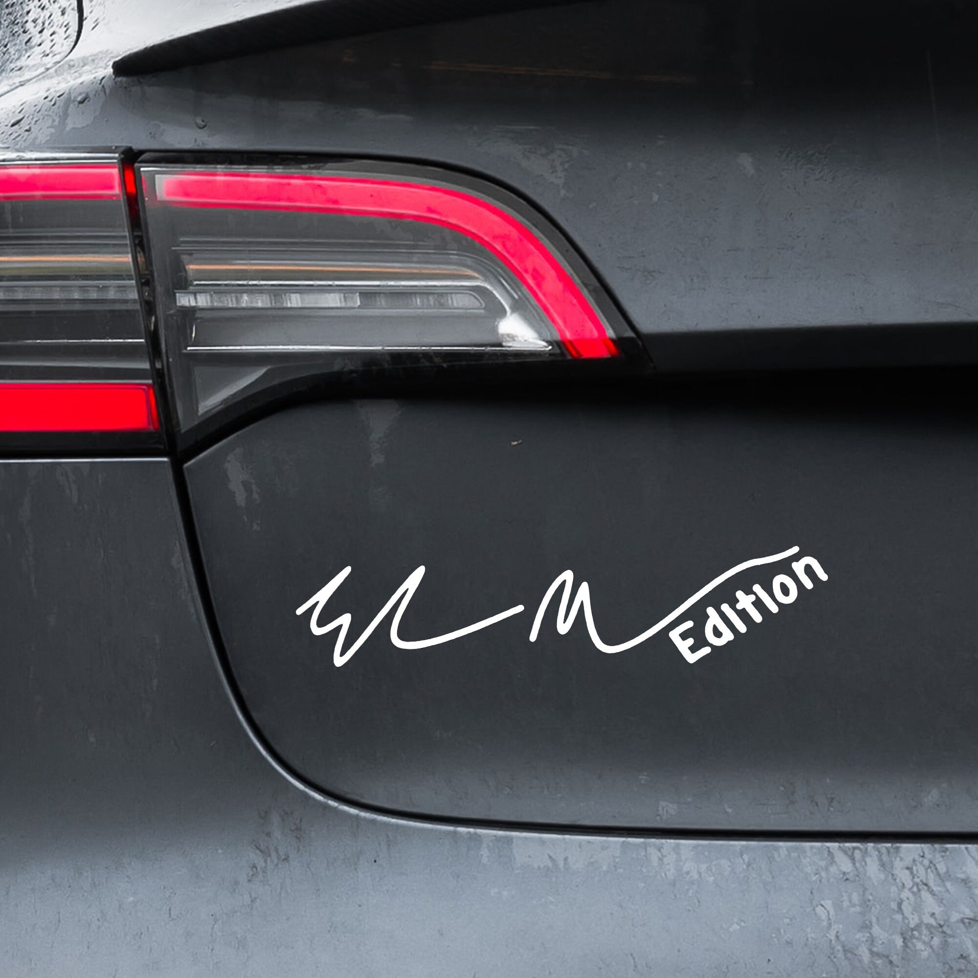 Autocollant Anti-Elon Musk Pour Tesla - Vinyle Statique, Noir Et Blanc - Pour Model X Y 3