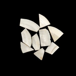 Zeeschelpstukken voor het maken van sieraden en decoratie, helende witte schelp, rivierschelp, strandschelp, groothandel veel schelp.