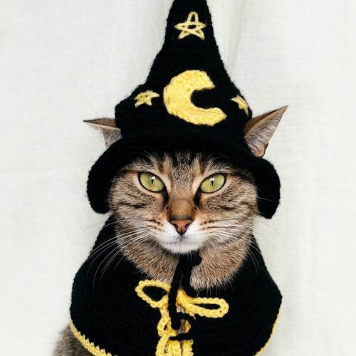 Witch Hat for Cat Halloween Pet Costume Crocheted Witch Hat Etsy