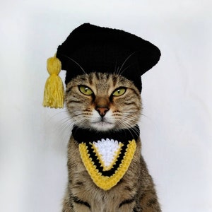 Graduation costume for cat, Graduation cat cap, Gift for cat lover, Cat accessories, Kitty Outfit image 1