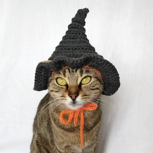 Witch hat for cat, Halloween witch pet costume, Fairy cat outfit, Kitten accessories, Gift for cat lover, Halloween cat costume