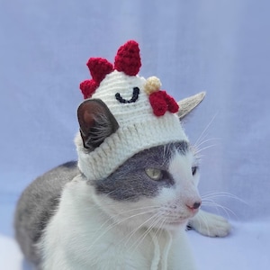 Chicken Costume for Cat Etsy UK