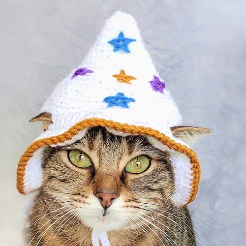 White Wizard Hat for Cat Halloween Wizard Pet Costume White Etsy