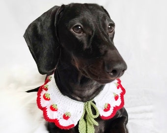 Dog Strawberry Collar, Pet Strawberry Collar, Dachshund Cute Collar, Doxie Strawberry Costume, Pet Outfit, Gift For Dachshund Lover