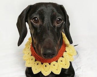Dog Sunflower Collar, Pet Flower Collar, Dachshund Sunflower Collar, Doxie Flower Costume, Pet Outfit, Gift For Dachshund Lover