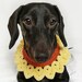 see more listings in the COLLARS section