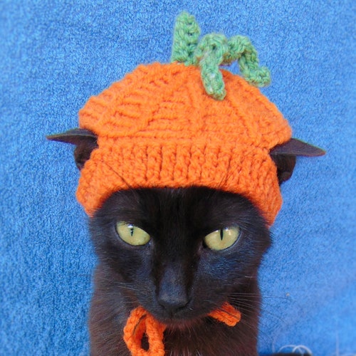 Chef Hat for Cat Chef Pet Costume Halloween Kitten Outfit Etsy