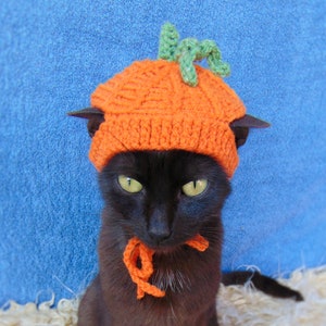 Pumpkin hat for cat, Halloween pet costume, Fall kitten outfit, Halloween pumpkin hats for cat, Gift for cat lover