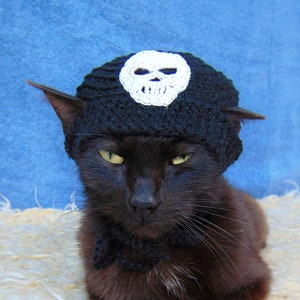 Skull hat for cat, Pirate hats for cats, Halloween pet costume, Halloween skull kitten outfit, Gift for cat lover, Crochet black cat costume image 2