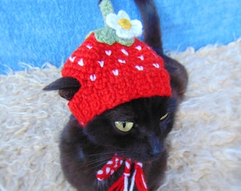 Strawberry hat for cat, Hat for kitten, Fruit cat outfit, Halloween pet costume, Cat accessories, Gift for cat lover