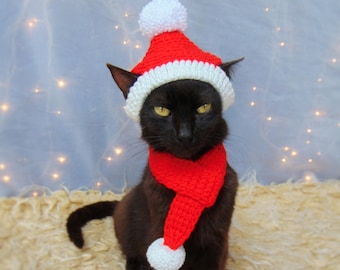 Santa pet costume, Christmas cat outfit, Santa hat and scarf for kitten, Christmas cat accessories, Hat for cat, Scarf for cat