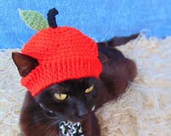 Apple hat for cat, Halloween Apple pet costume, Kitten Outfit, Cat accessories, Gift for cat lover