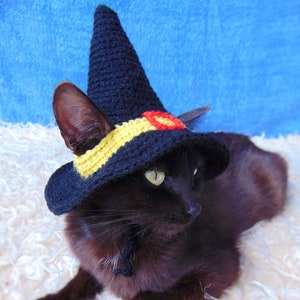 Witch Hat for Cat, Halloween Pet Costume, Crocheted Witch Hat for Kitten, Cat Accessories, Gift for Cat Lover