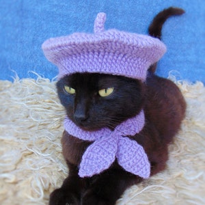 French Beret Hat and Scarf, Beret Hat for Cat, Cat Scarf, Purple Kitten Outfit, Cat Accessories, Black Cat Costume, Pet Costume image 1