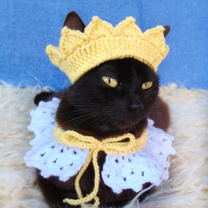 Crown and collar for cat, Princess cat outfit, Headpiece for kitten, kitty collar, Cat accessories, Gift for cat lover