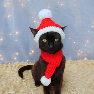 Christmas Cat Outfit Etsy