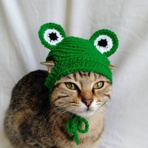 Frog hat for cat, Frog pet costume, Kitten outfit, Cat accessories, Gift for cat lover, Kitty harness, Crochet frog cat hat