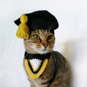 Graduation costume for cat, Graduation cat cap, Gift for cat lover, Cat accessories, Kitty Outfit image 2