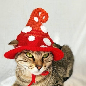 Mushroom Hat for cat, Fairy Pet Costume,Halloween mushroom forest Kitten Outfit, Cat Accessories, Gift for Cat Lover, Halloween Pet Costume