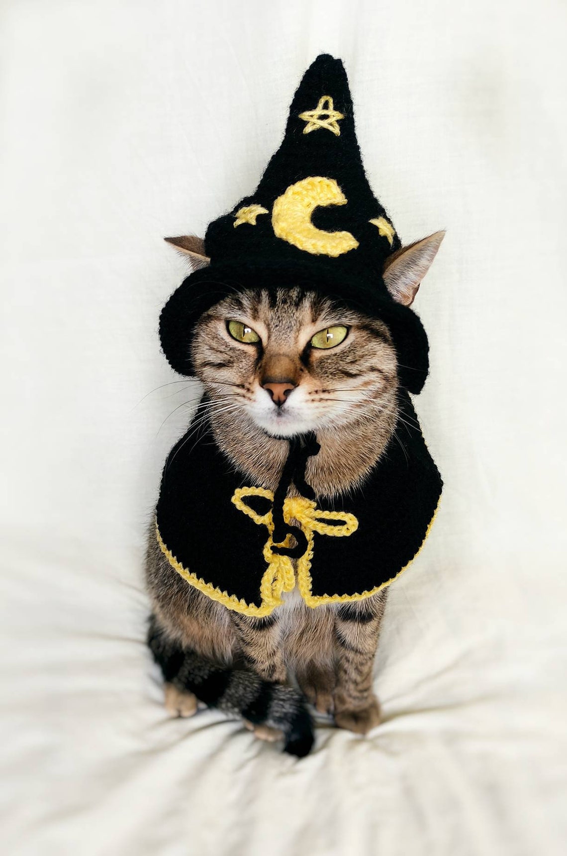 Wizard Pet Costume Wizard Costume for Cat Halloween Cat Hat - Etsy Ireland