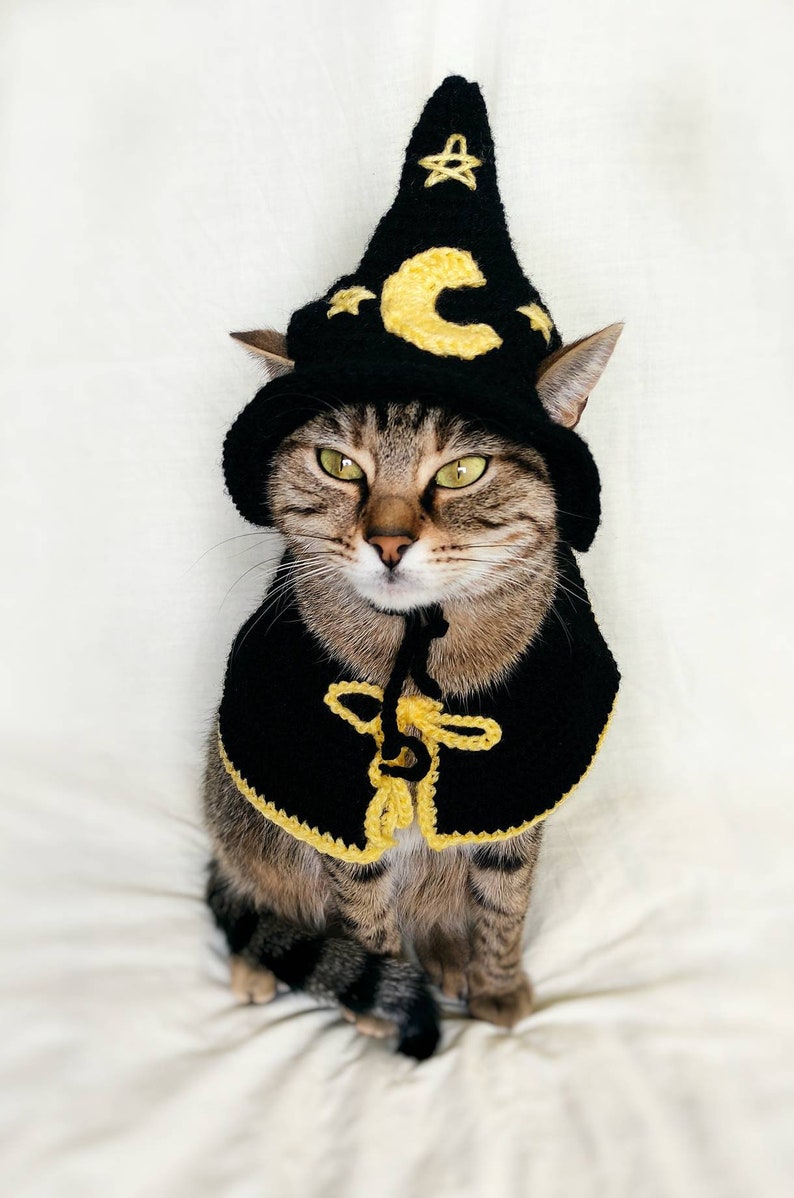 Wizard Pet Costume Wizard Costume for Cat Halloween Cat Hat Etsy