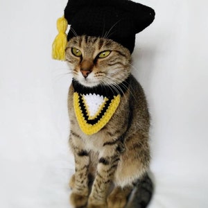 Graduation costume for cat, Graduation cat cap, Gift for cat lover, Cat accessories, Kitty Outfit image 4