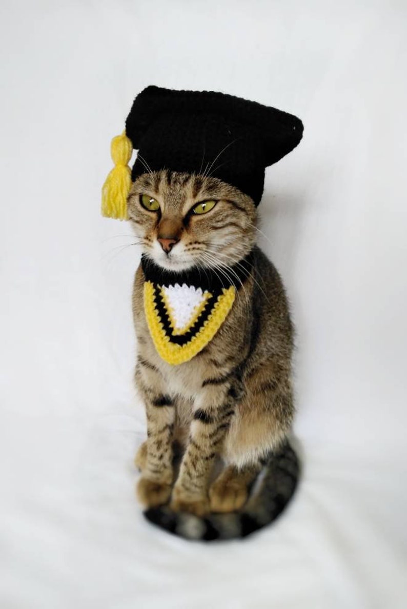 Graduation costume for cat, Graduation cat cap, Gift for cat lover, Cat accessories, Kitty Outfit image 4