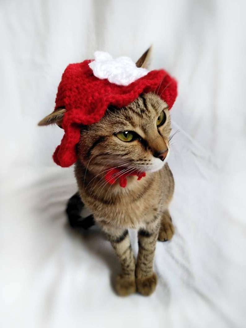 Summer Hat for Cat Red Brim Kitty Hat Flower Hats for Cats Etsy