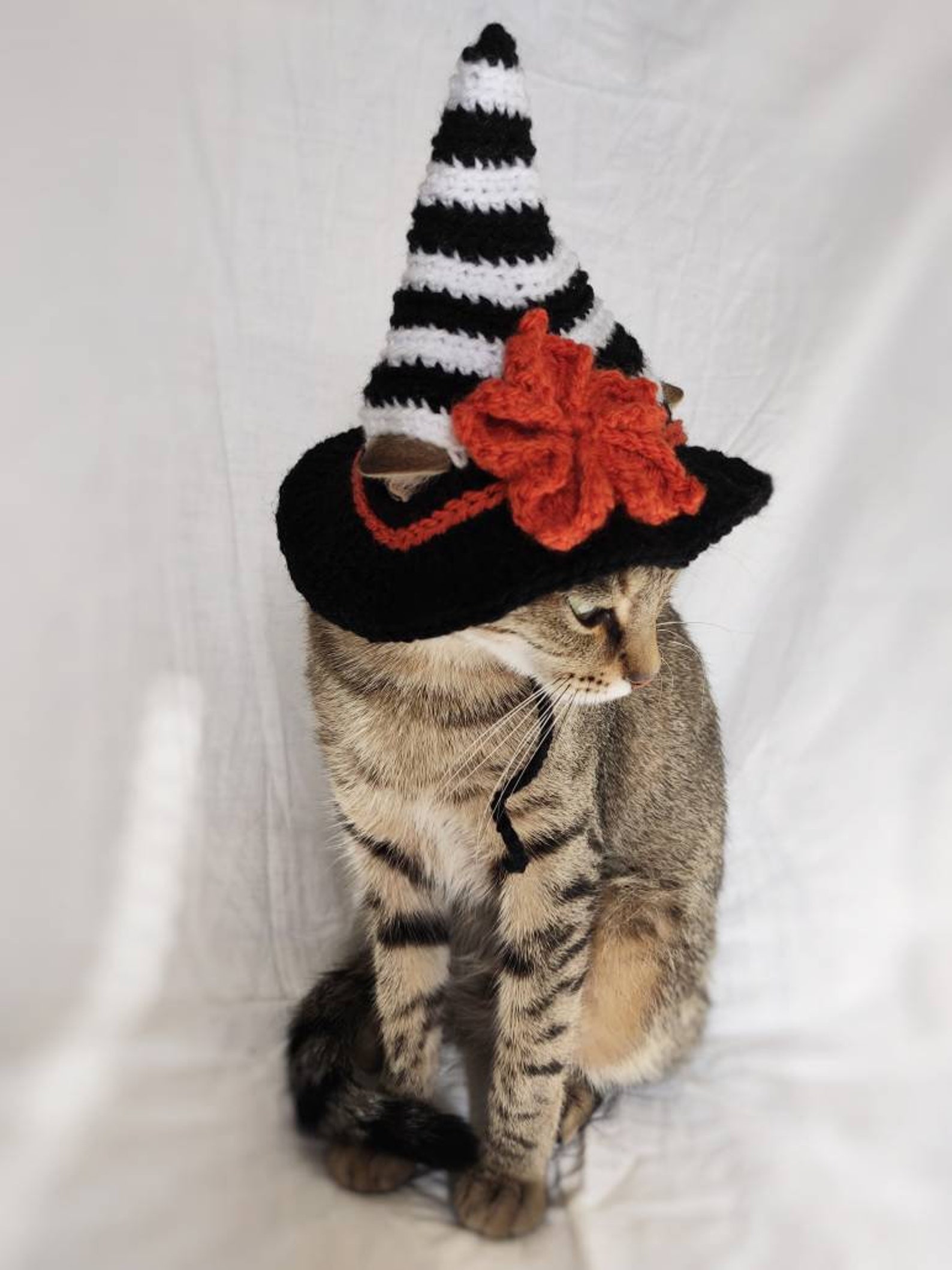 Witch Hat for Cat Witch Pet Costume Halloween Witch Kitten Etsy