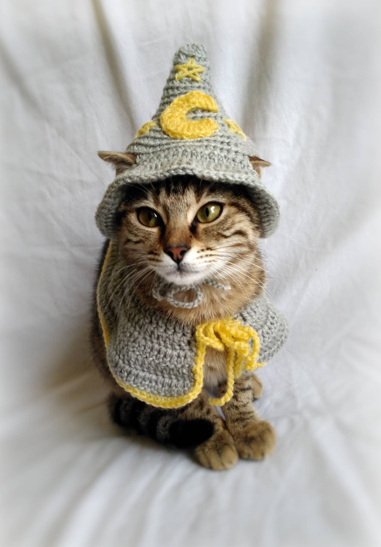 Wizard Costume for Cat Wizard Hat for Cat Wizard Pet Costume Etsy Ireland
