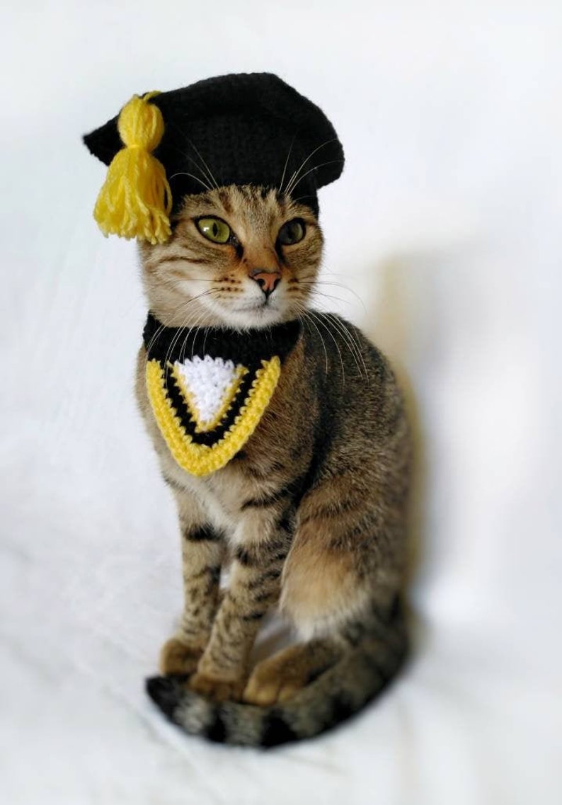 Graduation costume for cat, Graduation cat cap, Gift for cat lover, Cat accessories, Kitty Outfit image 2